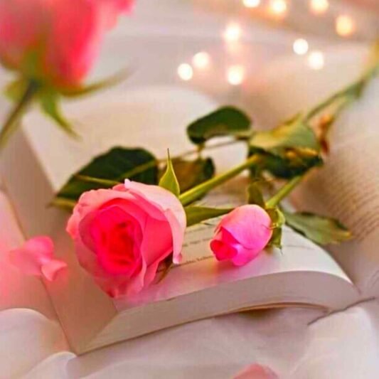 عکس لاکچری برای پروفایل واتساپ و تلگرام