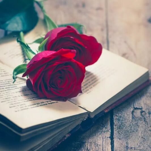 عکس لاکچری برای پروفایل واتساپ و تلگرام