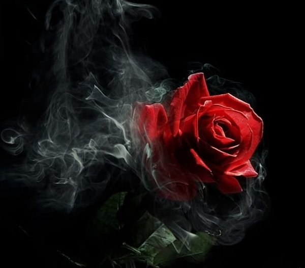 عکس لاکچری برای پروفایل واتساپ و تلگرام