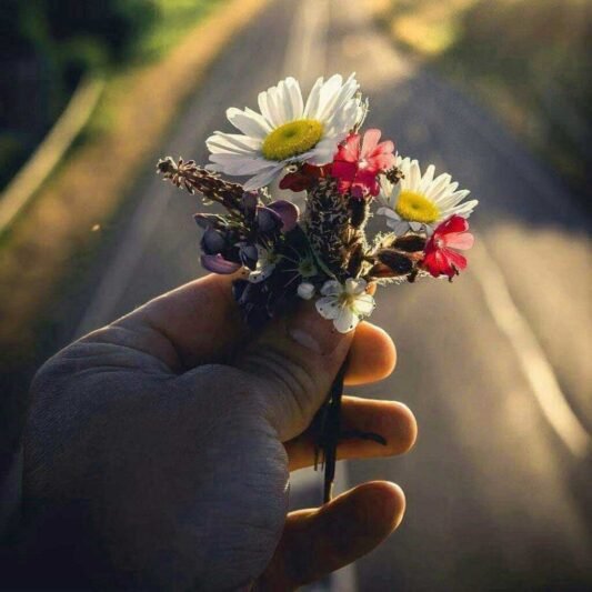 عکس لاکچری برای پروفایل واتساپ و تلگرام