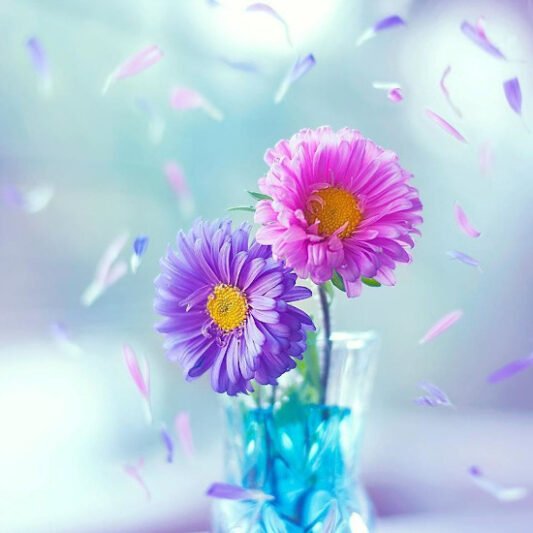 عکس لاکچری برای پروفایل واتساپ و تلگرام