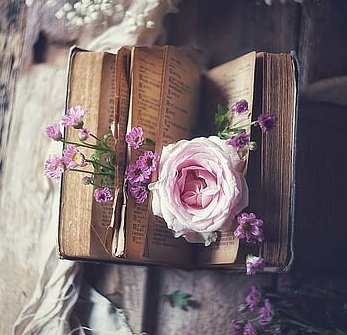 عکس لاکچری برای پروفایل واتساپ و تلگرام