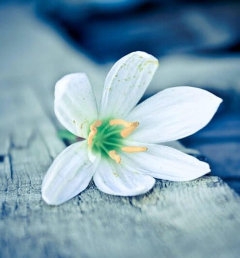 عکس لاکچری برای پروفایل واتساپ و تلگرام