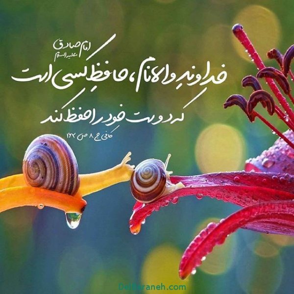 عکس پروفایل با حس آرامش