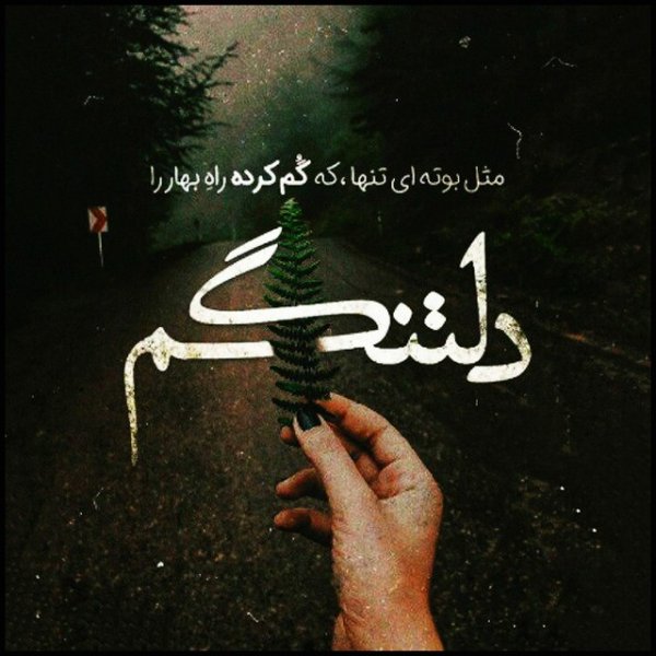 عکس نوشته دلتنگی و دلگیری