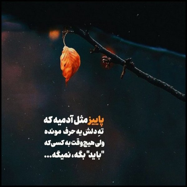 عکس نوشته دلتنگی و دلگیری