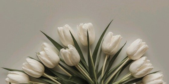  عکس انواع گل طبیعی